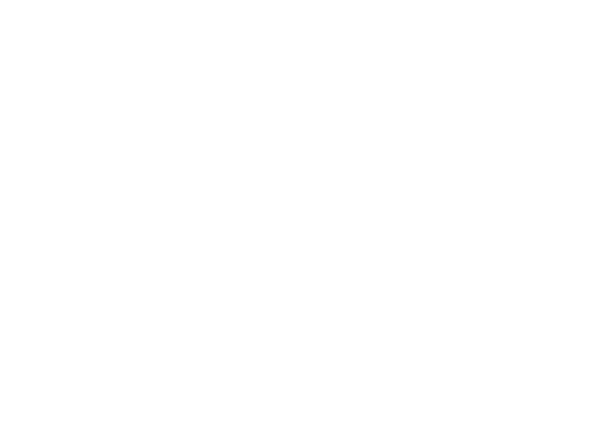 20 anos